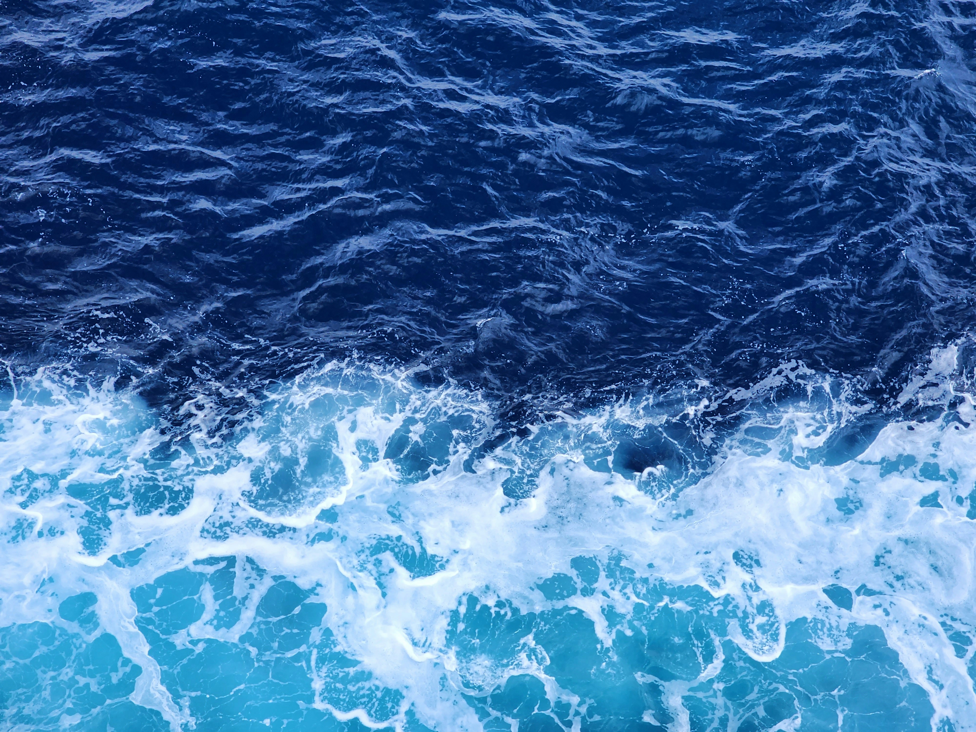 wholesail.cruises